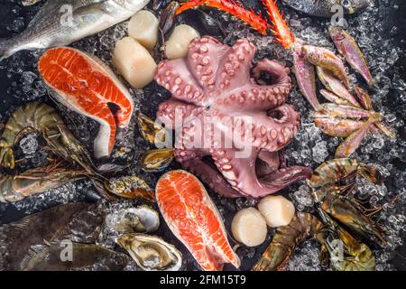 Selezione cruda di mare: polpo, gamberi, tonno - Qualità premium